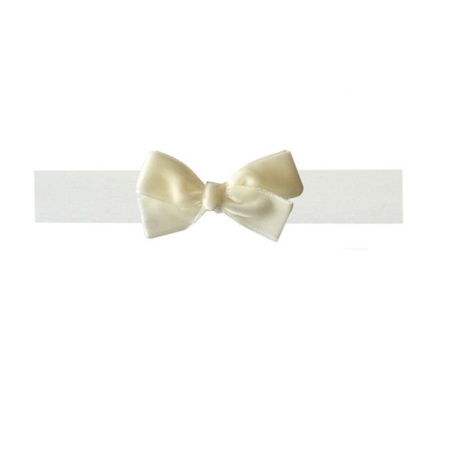 Banda Lazo Terciopelo Ancho 23mm